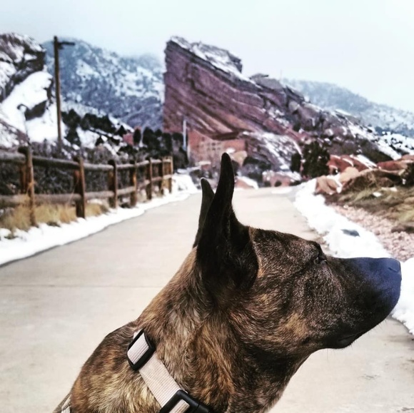 Meet your Posher, April - Picture 6 of 8